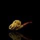 Octopus Pipe By Adnan New-block Meerschaum Handmade With Case#894