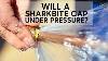 Will A Sharkbite Stop A Full Pressure Leak