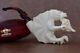Yunus Ege Dragon Pipe Handmade Block Meerschaum-new With Custom Made Case#641